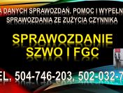 Sprawozdanie SZWO i FGC, tel. 504-746-203, do Bazy Danych Sprawozdań