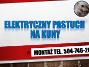 Ile kosztuje elektryczny pastuch na kuny? tel. 504-746-203. Ochrona przed kuną