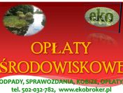 Obliczenie opłaty środowiskowej, cena, tel. 502-032-782. Wykaz, raport