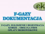 Sprawozdanie do Bazy Danych Sprawozdań, cena tel. 504-746-203. Obsługa