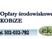 Cena za wykonanie raportu do kobize, tel. 502-032-782. Wykaz i sprawozdanie.