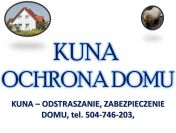 Odławianie kun, tel. 504-746-203. Skuteczny sposób na kunę na dachu